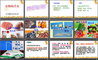日常餐桌的营养密码——认识我们身边的营养食品
