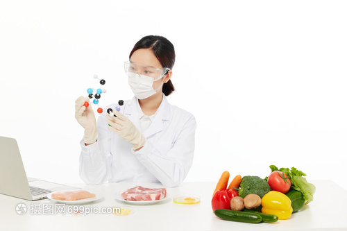 分子美学 一位女性营养师眼中的食物进化论